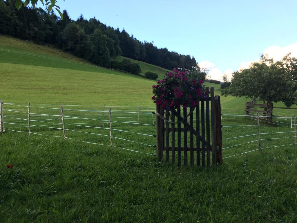 Apartment With Garden Garden Furniture Bbq タクセンバッハ エクステリア 写真