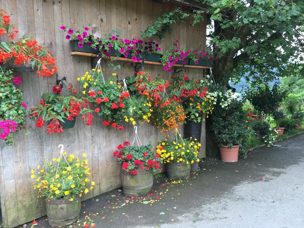 Apartment With Garden Garden Furniture Bbq タクセンバッハ エクステリア 写真