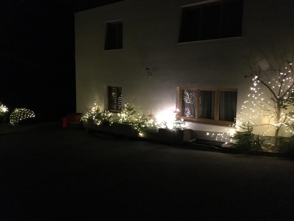 Apartment With Garden Garden Furniture Bbq タクセンバッハ エクステリア 写真